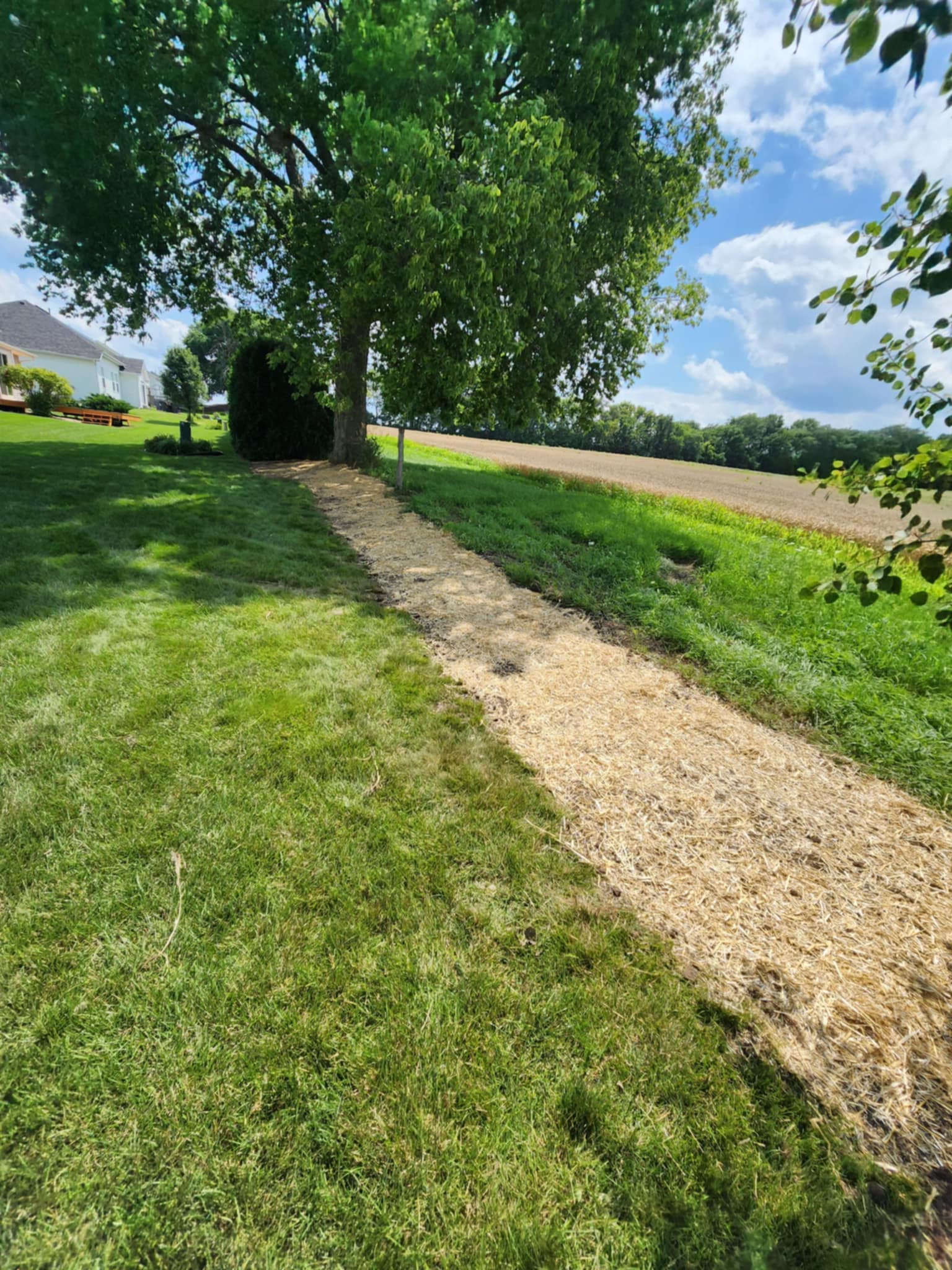 att.-Tz4AUYd0Vhr37co7RdSAtc8lMShMEywFRSZPy-c3lQ Property, Property Services, Property Management, Business Services, Construction Services, Shed and Tree Removal