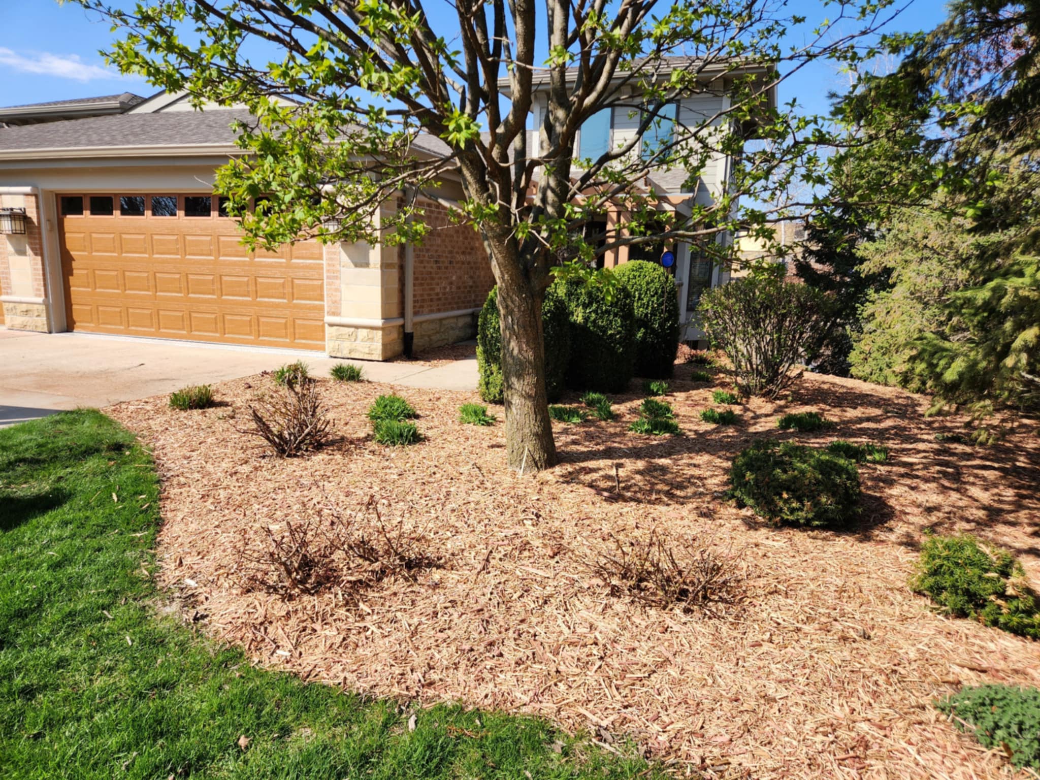 att.593HYuZ9DQihH_VDww4sscGNklFVbkzS3D6QqJv8XT4 (1) Property, Property Services, Property Management, Business Services, Construction Services, Shed and Tree Removal