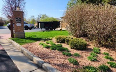 Refresh Mulch